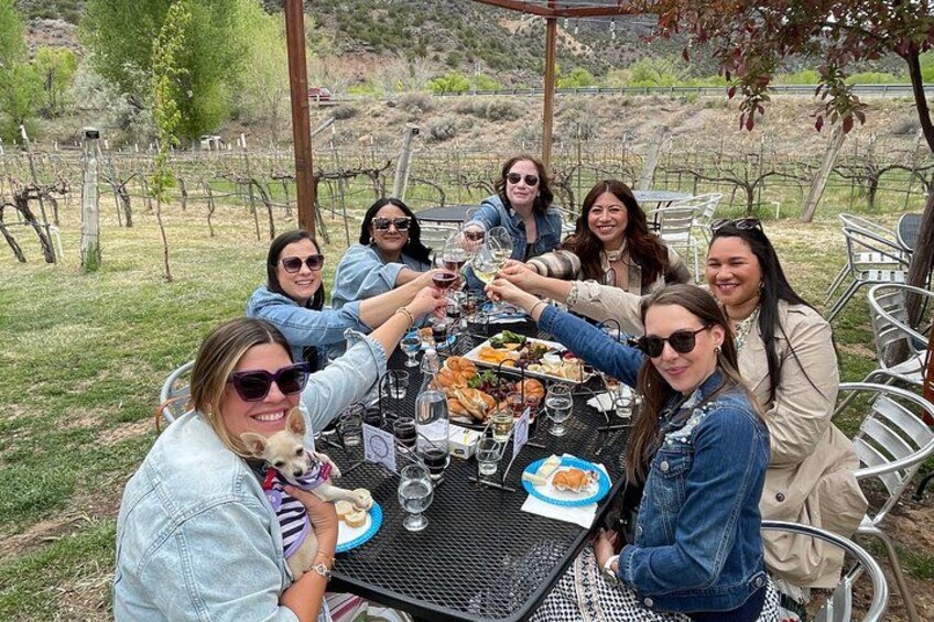 Un grupo de personas brindando en una mesa al aire libre, con un viñedo de fondo. 1
