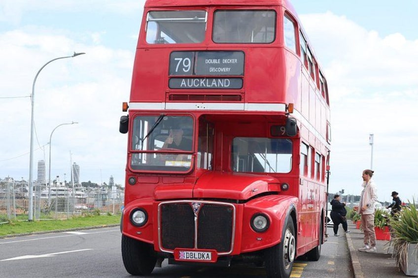 Auckland City Bus Tour 4