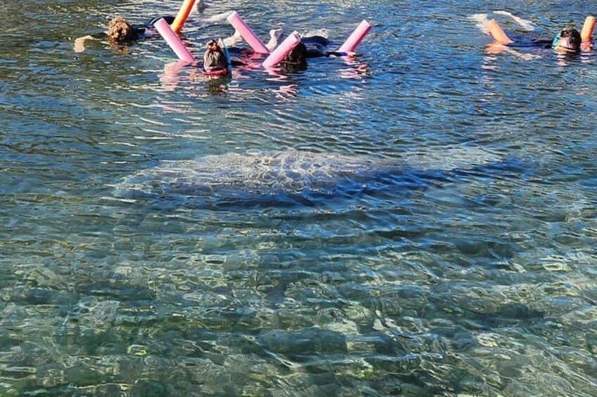 Menschen schwimmen in klarem Wasser mit rosa Schwimmhilfen. 1