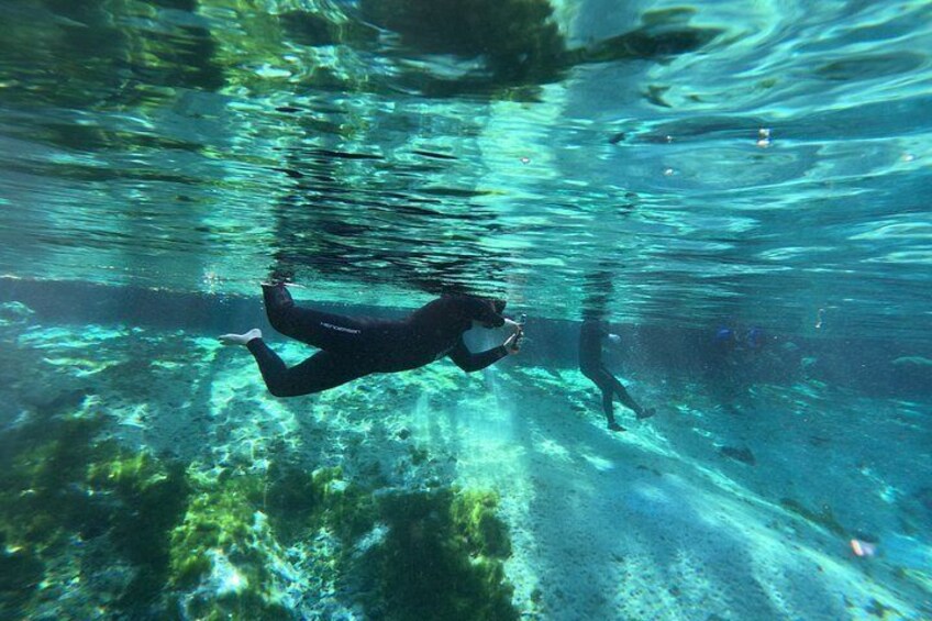Crystal River Manatee Swim & Snorkel Tour-Small Group Local guide 5