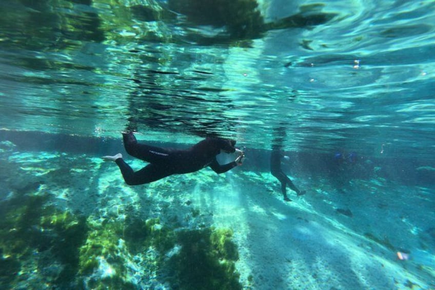 Crystal River Manatee Swim & Snorkel Tour-Small Group Local guide 4