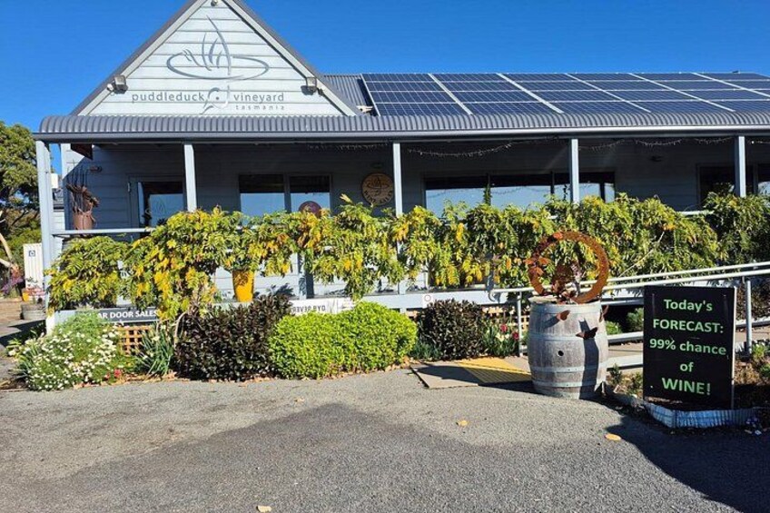 Signature Saturday Wine Tour 2