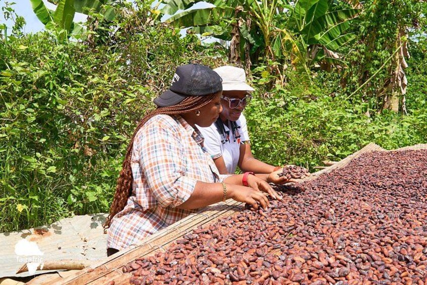 Tasting tradition: dried cocoa beans with rich, authentic flavor. 3