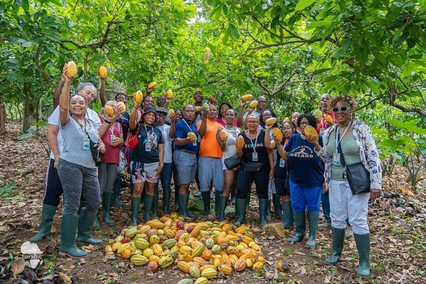 An authentic journey through a truly organic cocoa farm. 5