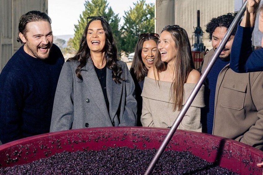 Un grupo de personas de pie alrededor de un recipiente grande lleno de objetos negros, posiblemente uvas, al aire libre con árboles y un edificio en el fondo. 2