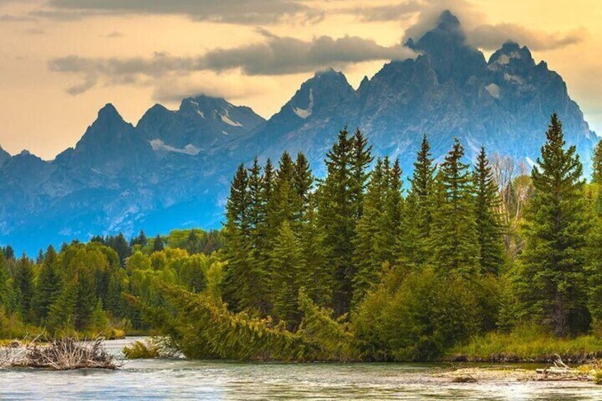 A river with dense forest and a mountain range in the background. 3