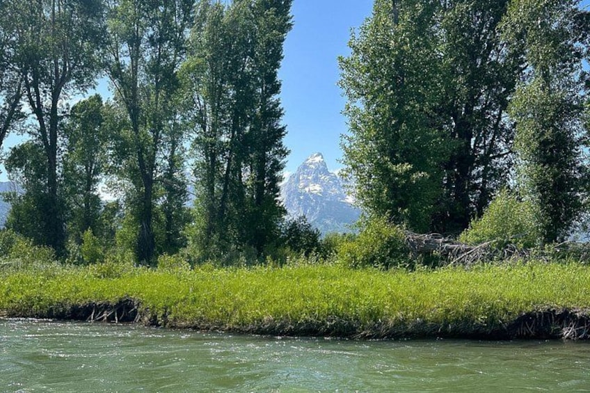 Scenic Float Trip on the Snake River in Grand Teton National Park 2