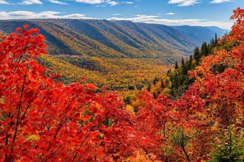 Highland Tours: Cabot Trail Excursion Sydney Cape Breton Island 5