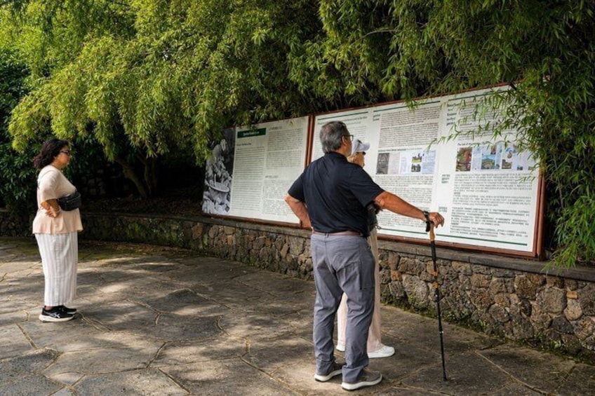 Spirited Garden Jeju: Korea’s Only 60-Year Garden 4
