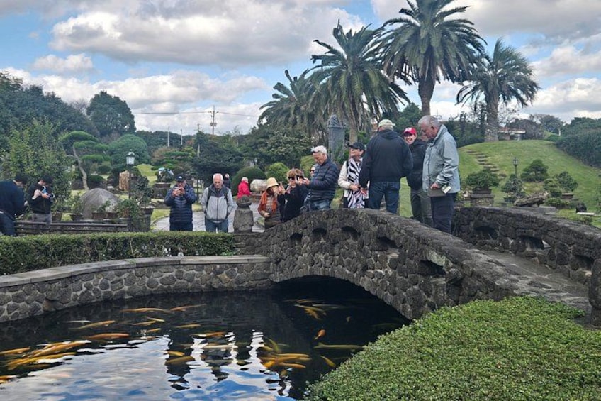 Un pont de pierre enjambe un étang où nagent des carpes koï, le tout étant entouré de verdure et de palmiers. 4