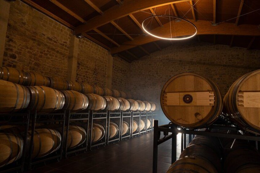 Visit to the winery with a tasting of 3 wines and appetizers 4