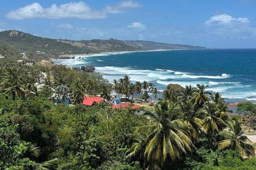 Bathsheba, Barbados 1