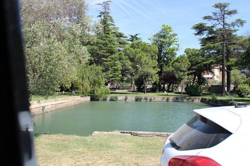 A pond surrounded by trees and a white car parked nearby. 5