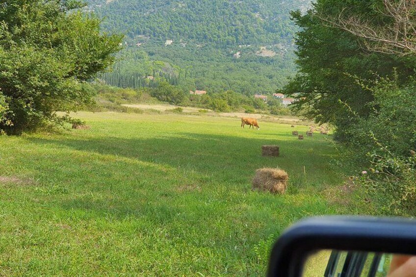 Konavle Jeep Safari Tour from Cavtat with Lunch 2