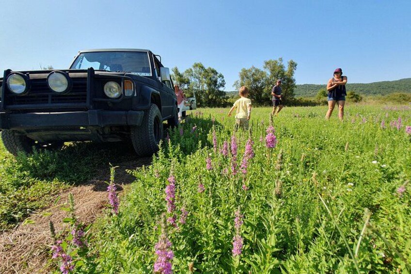 Konavle Jeep Safari Tour from Cavtat with Lunch 2
