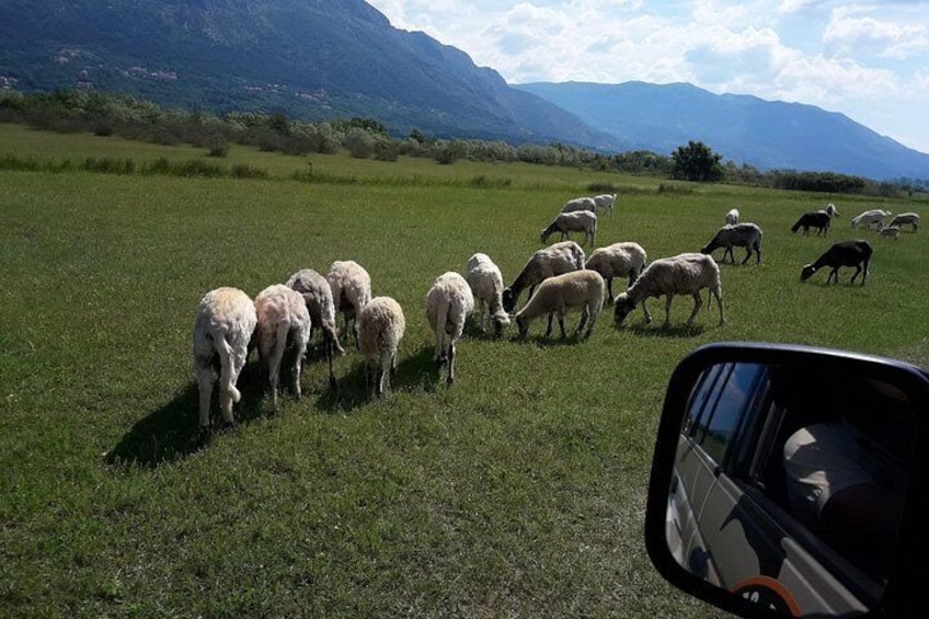 Konavle Jeep Safari Tour from Cavtat with Lunch 3