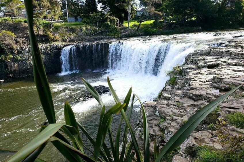 Haruru Waterfalls and Glow Worm Caves Tour 3