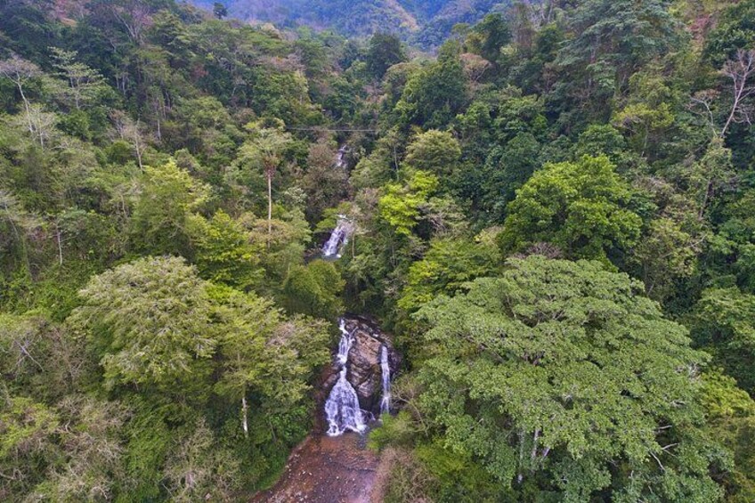 A waterfall surrounded by dense forest. 2