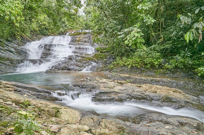 A waterfall cascading over rocks in a forested area. 5