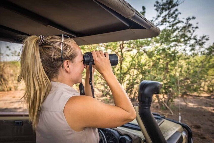 A person using binoculars from inside a vehicle, with trees and a dirt ground in the background. 1
