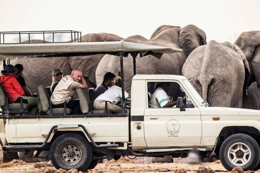 Safari Game Drive Zambezi National Park 4