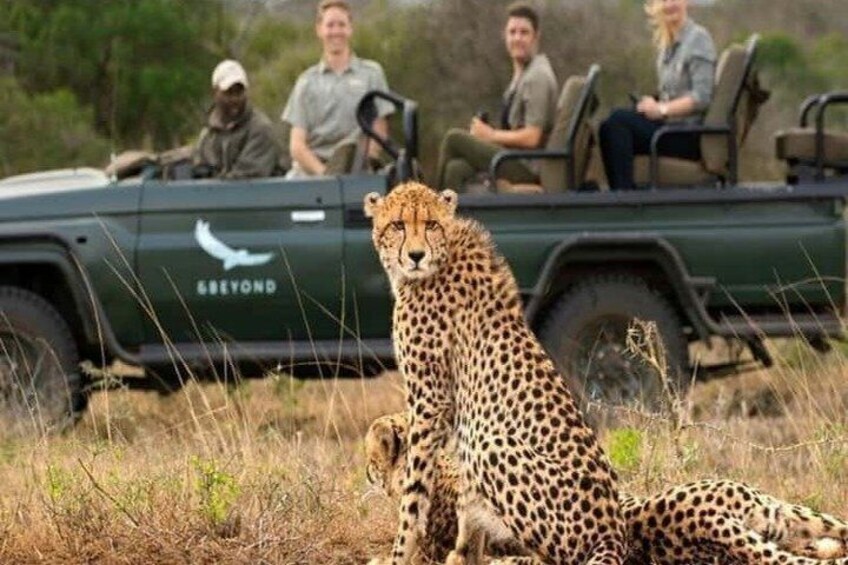 4-Day Luxury Trip to Tarangire, Serengeti & Ngorongoro from Dar 5