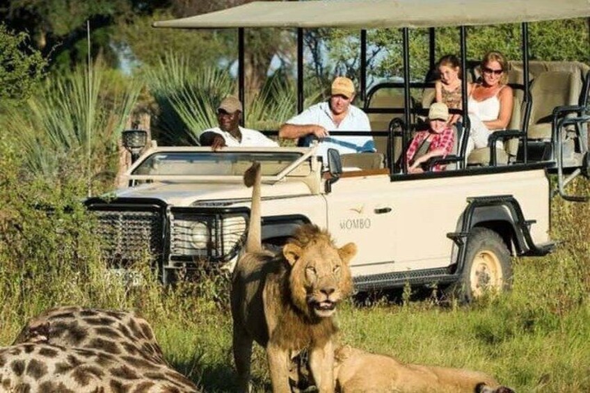 4-Day Luxury Trip to Tarangire, Serengeti & Ngorongoro from Dar 3