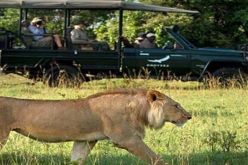 4-Day Luxury Trip to Tarangire, Serengeti & Ngorongoro from Dar 4