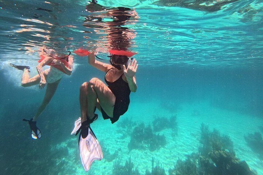 Barrier Reef Snorkeling from Hopkins Village 5