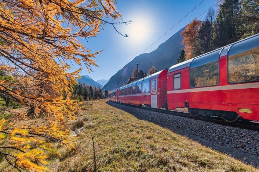 Bernina Express Train and St. Moritz Day Tour from Milan 3
