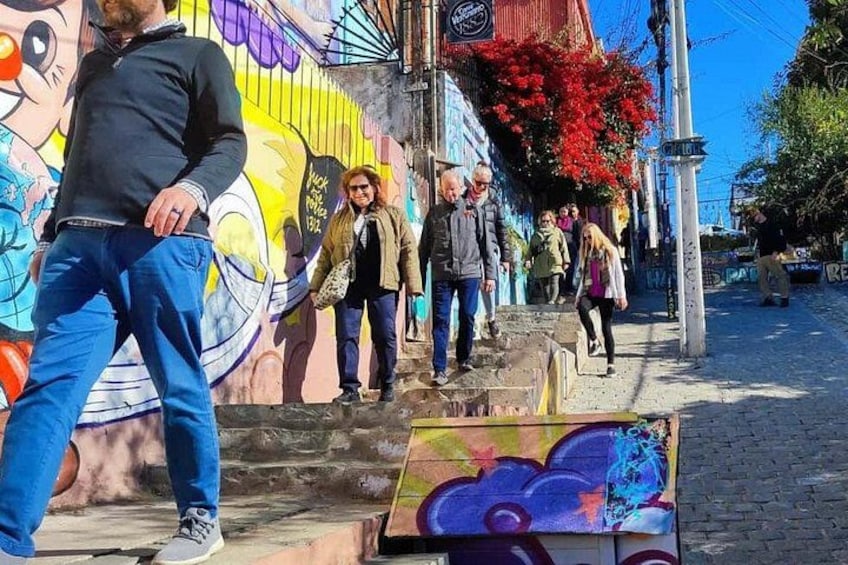 Santiago: Viña del Mar, Valparaiso, with Casablanca Wine Tasting 4