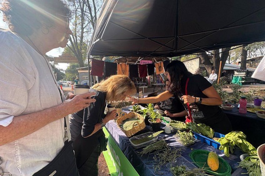The hidden gems of Roma and Condesa Neighborhoods Walking tour 5