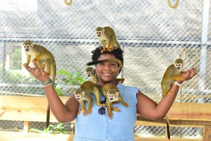 Monkey Park Puerto Plata Countryside Tour 2