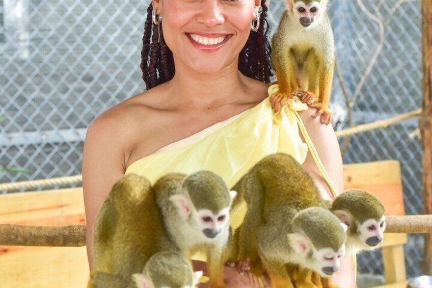 Monkey Park Puerto Plata Countryside Tour 5