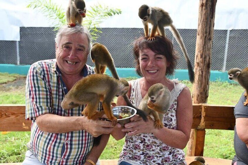 A person feeding a lemur. 1