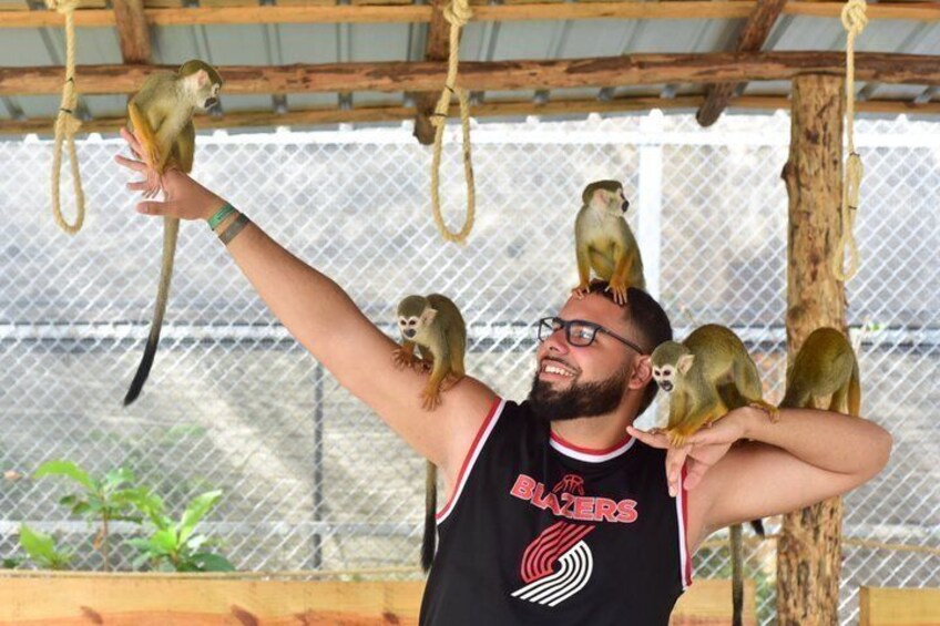 Monkey Park Puerto Plata Countryside Tour 4