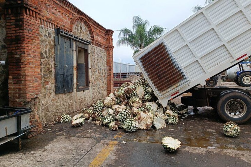 Un camion rovesciato con un mucchio di noci di cocco accanto a un edificio in mattoni. 3