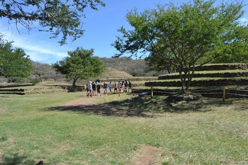 Un gruppo di persone che cammina su un sentiero erboso in un parco, con alberi e dolci colline terrazzate sullo sfondo. 2