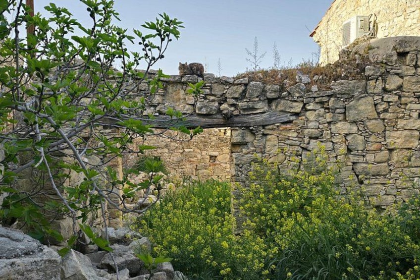 Old type house in Lofou Village 4