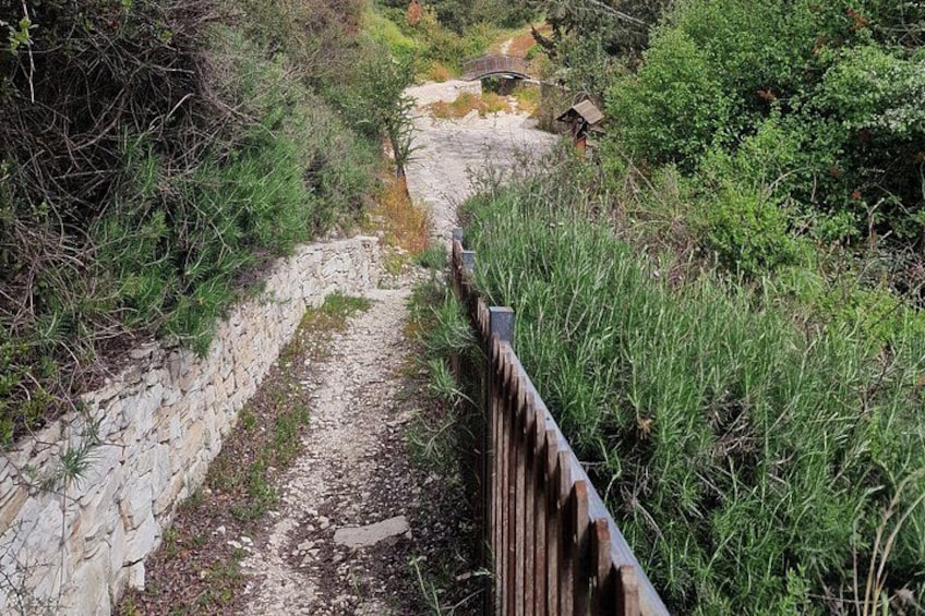 Nature trail 3