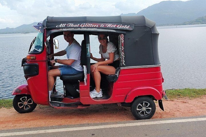 From Kandy: Sigiriya Rock & Elephant Safari Private Day Tour 2