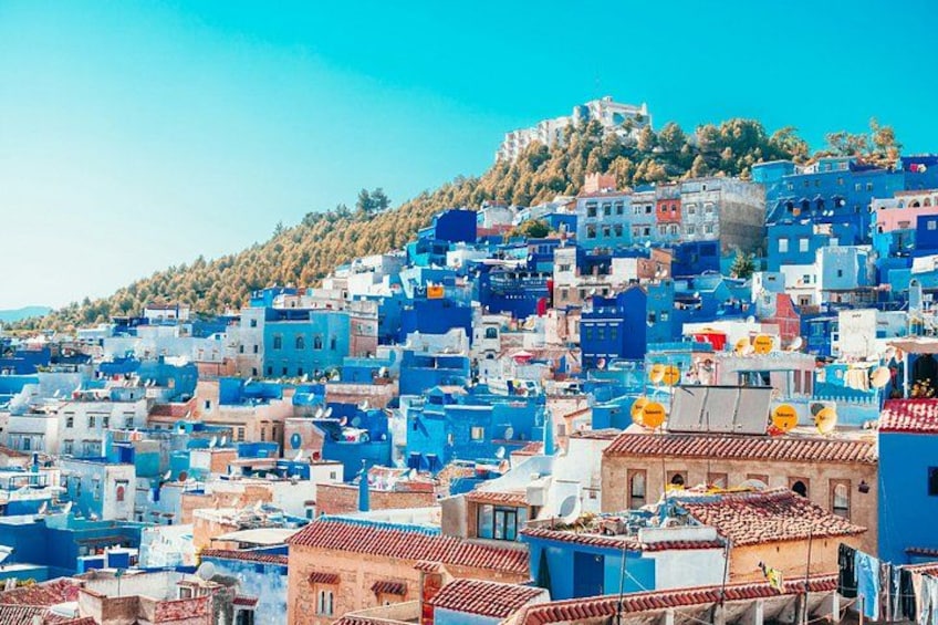 A densely packed cityscape with buildings in various shades of blue and white, a prominent hill with vegetation, and a clear blue sky. 4