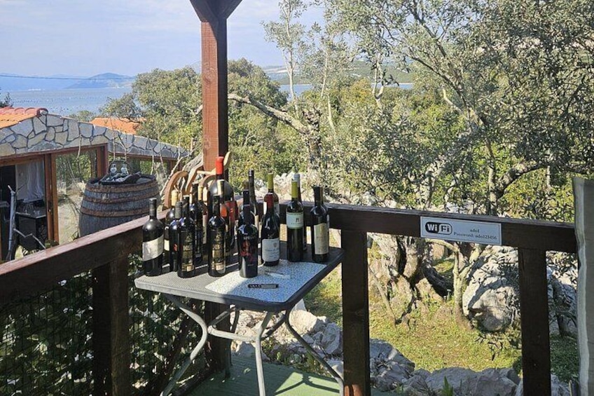 Split to Dubrovnik Private Transfer with 5-Course Lunch Included 4