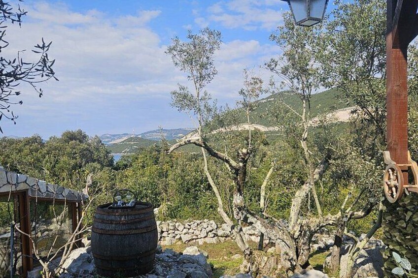 Split to Dubrovnik Private Transfer with 5-Course Lunch Included 5