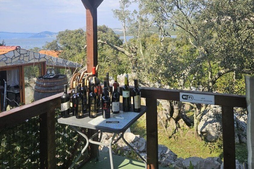 Split to Dubrovnik Private Transfer with 5-Course Lunch Included 5