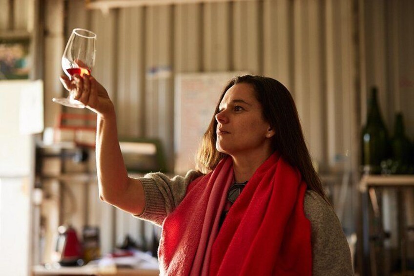 Experience our wines in our authentic Vineyard 4
