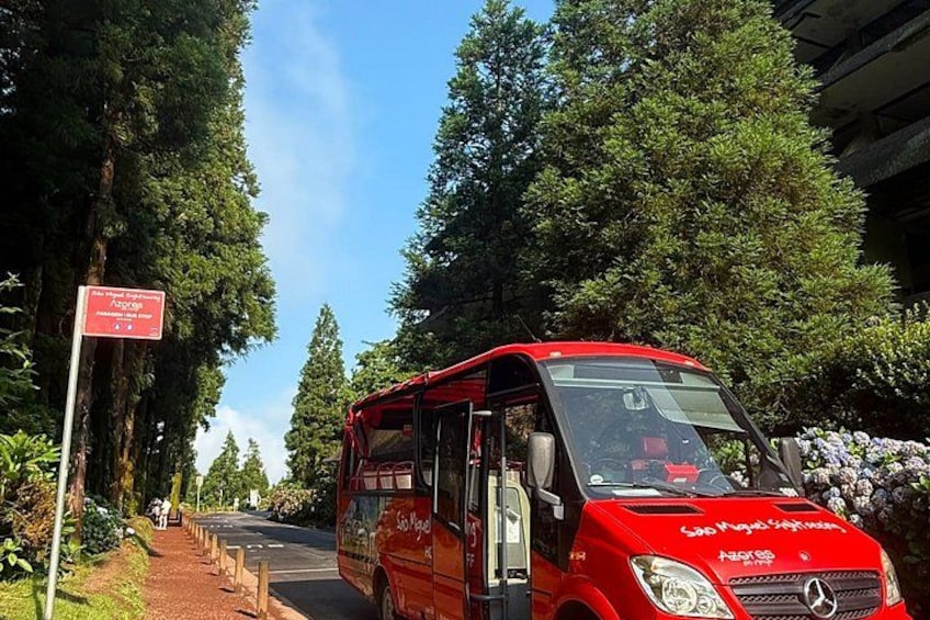 A red bus parked on a road surrounded by trees. 2
