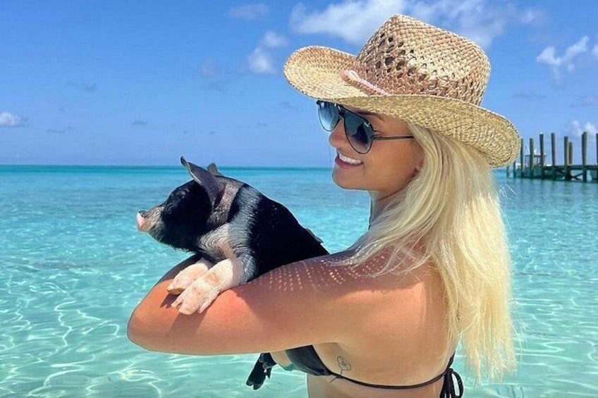 Una persona sostiene a un perro junto a un mar azul cristalino con un muelle de madera al fondo. 1