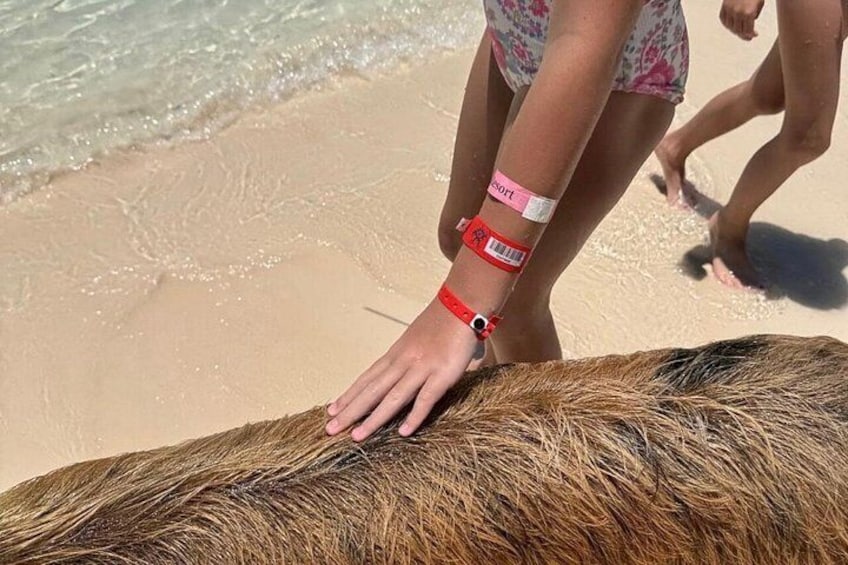 Una persona acariciando un caballo en la playa. 5