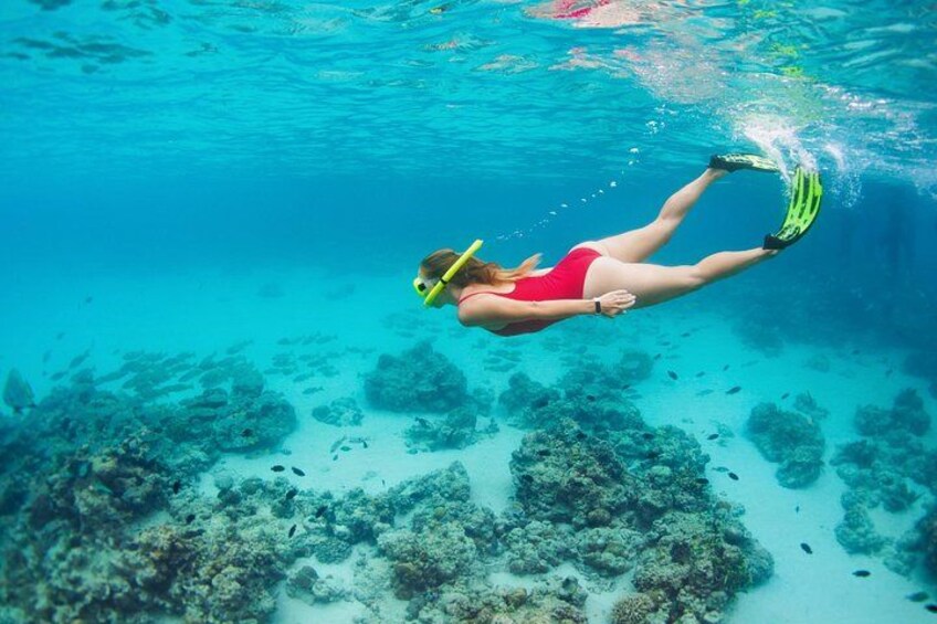 Una persona practica snorkel bajo el agua con un arrecife en el fondo. 2